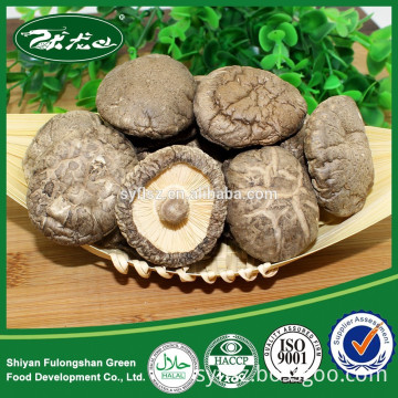 China Grow Brown Color Smooth Surface Dried Mushroom Cheap Price